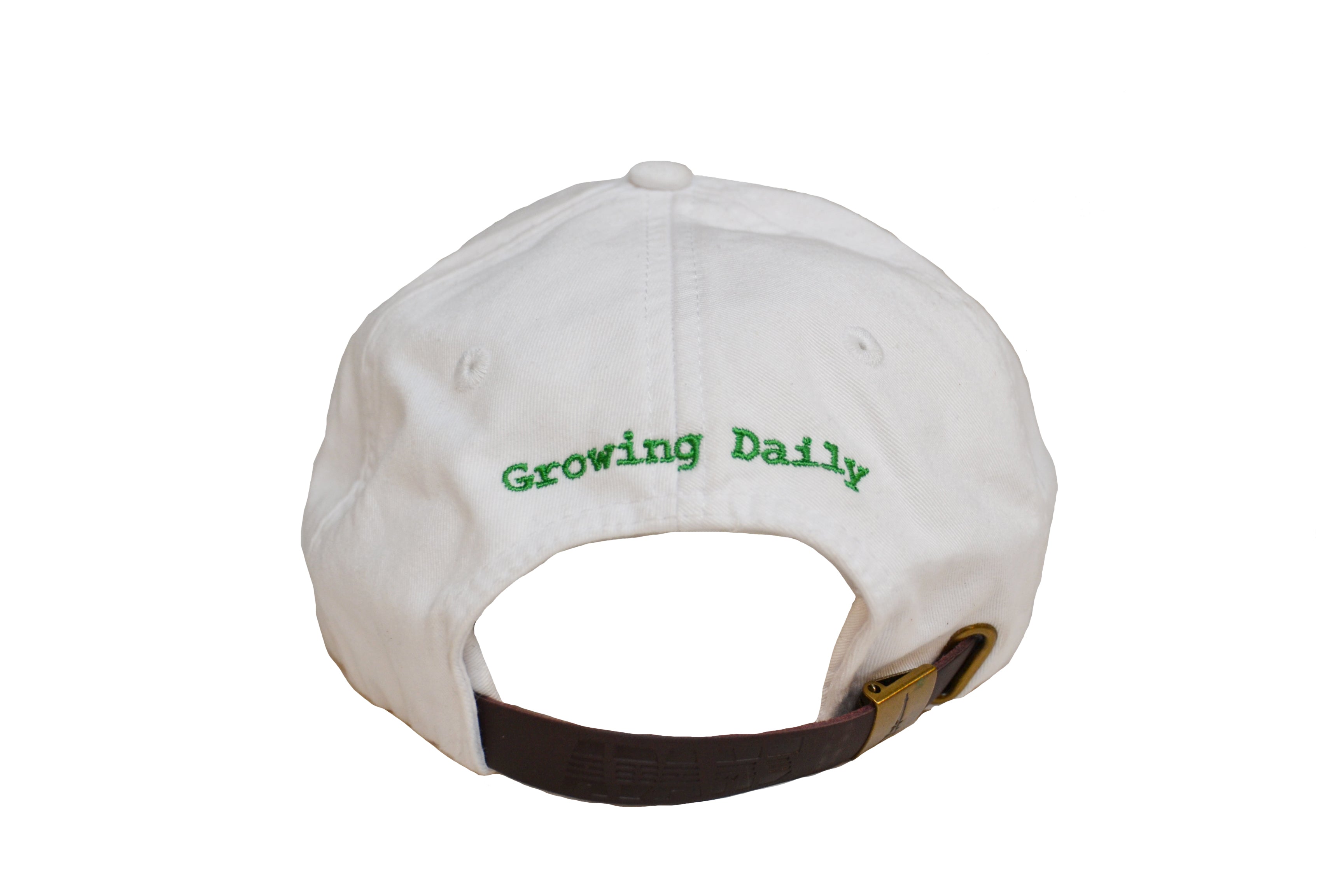 Small Skinny Logo Cap